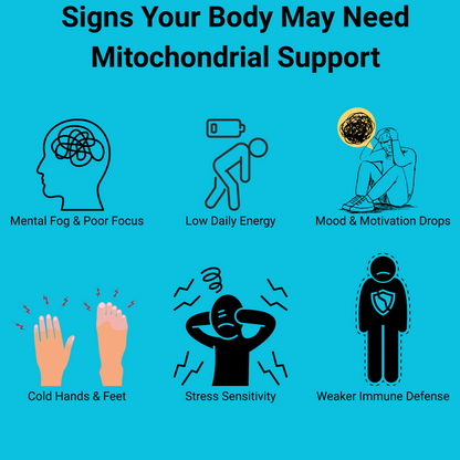 Mito Boost™ | Methylene Blue