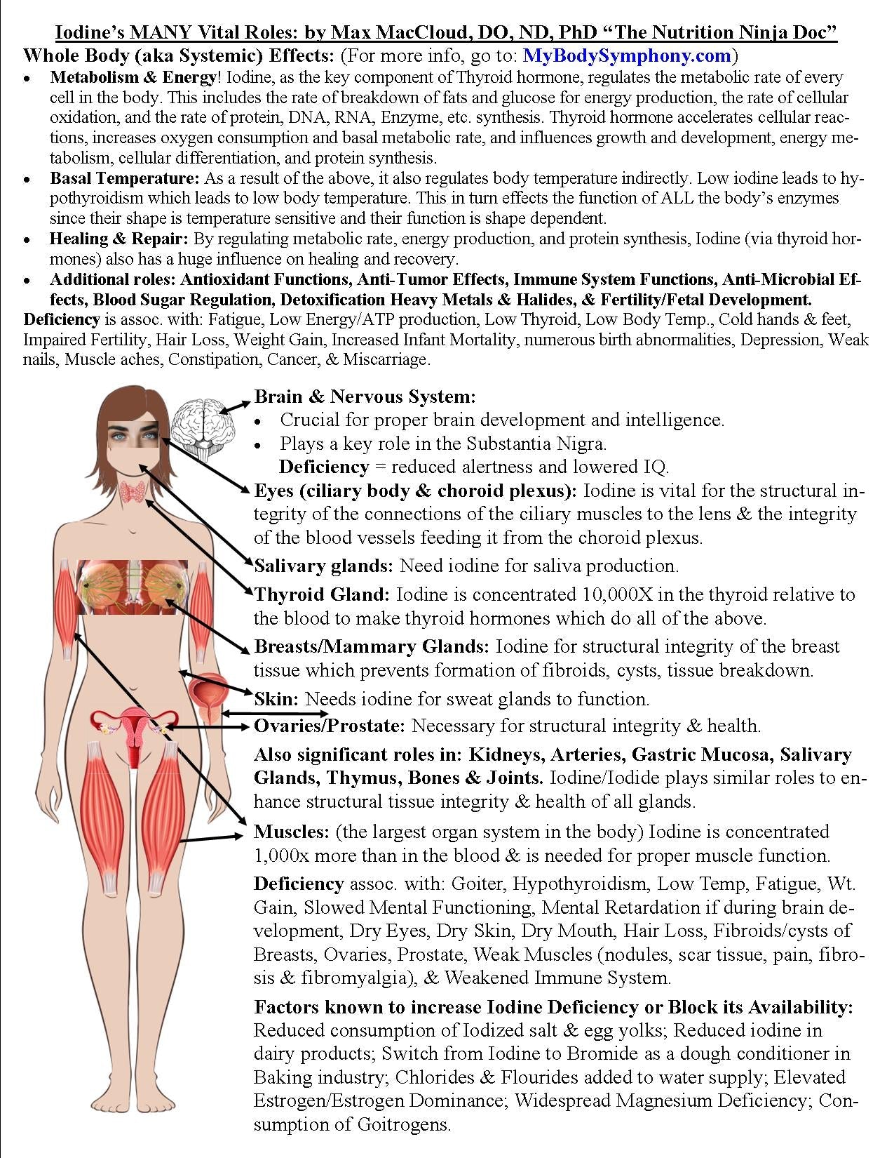 wp image6863443656807