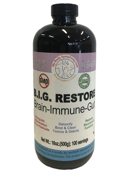 B.I.G. Restore - Brain, Immune, Gut Health Supplement