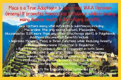 Maca - Adaptogen | Superfood | Anti-Aging