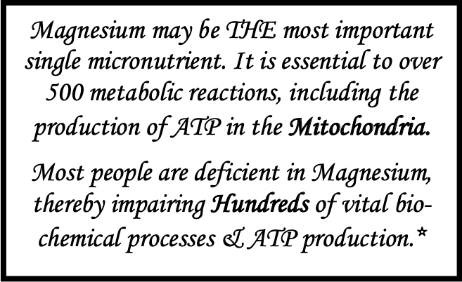 Mag-10X | Next Generation Magnesium Drink Mix! *NEW*